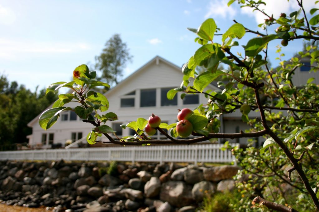 Bønnehelg, Holmely retreat og omsorg, Bryggja i Nordfjord.